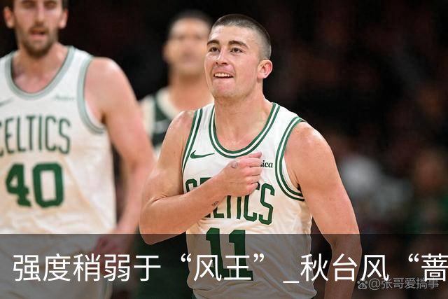 强度稍弱于“风王” 秋台风“蔷琵”带着强风雨靠近了！